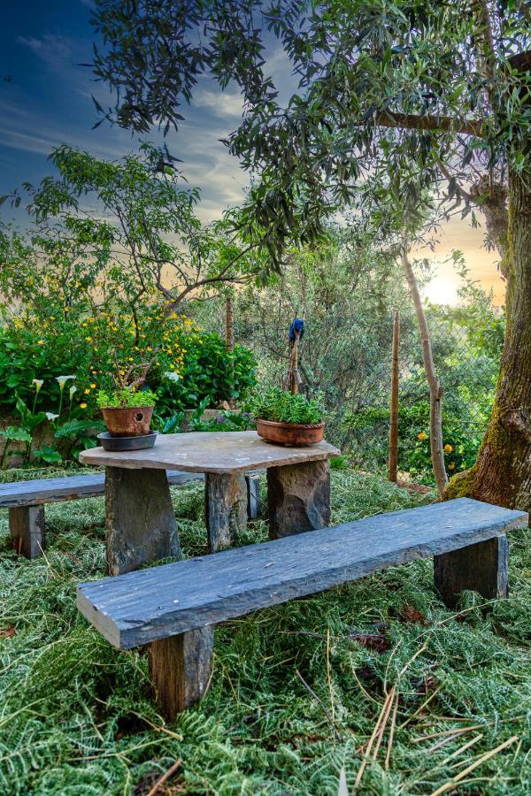 Casa Fundo Dos Palheiros Villa Sobrainho dos Gaios ภายนอก รูปภาพ